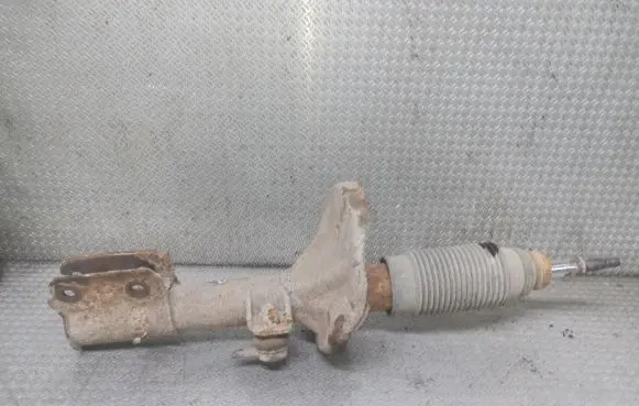 Hyundai Santa Fe Front shock absorber/damper