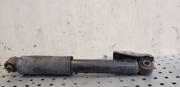 Hyundai Santa Fe Rear shock absorber/damper