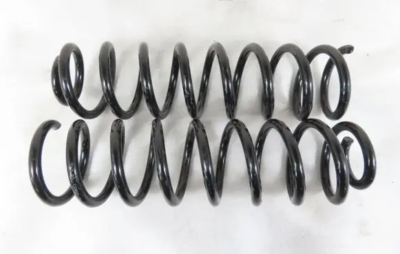 Rear coil spring