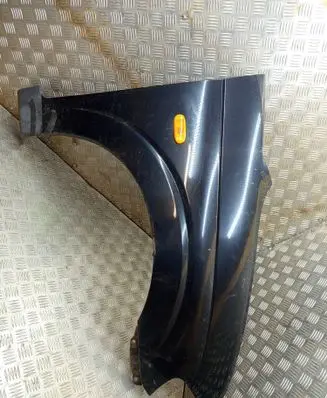 SsangYong Rodius Fender