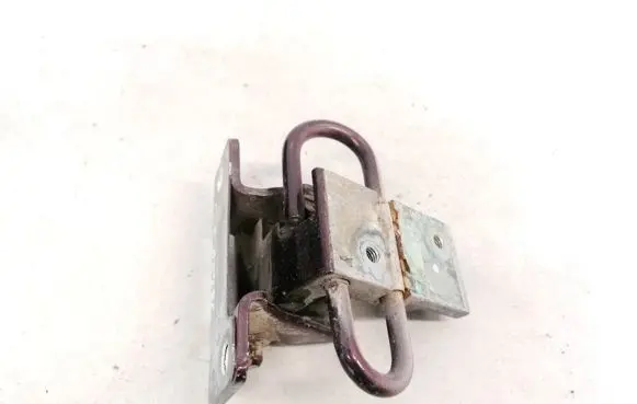 Rear door lower hinge