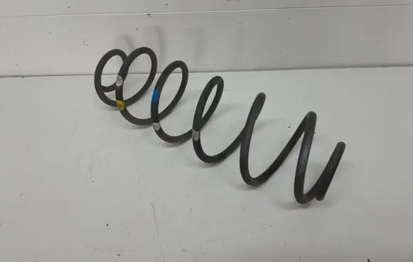 Rear coil spring