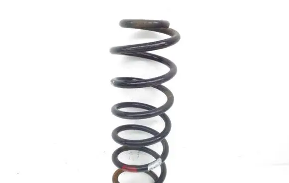 Renault Megane III Rear coil spring