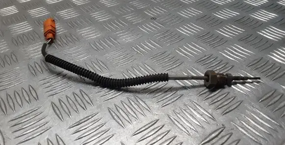 Exhaust gas temperature sensor