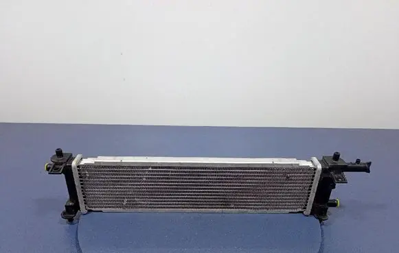 Honda Accord Coolant radiator J20102295
