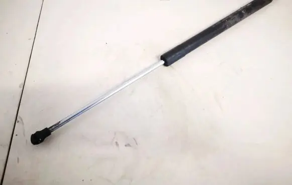 Renault Laguna III Tailgate/trunk strut/damper 844300001r