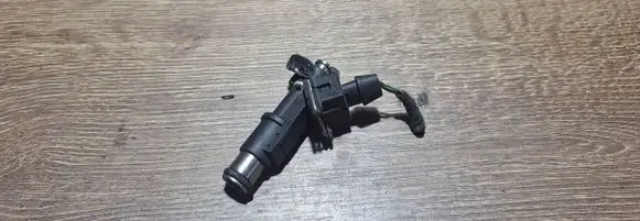 Peugeot 206 Fuel injector 01f003a