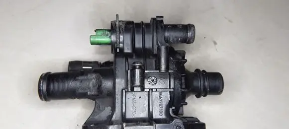Thermostat/thermostat housing