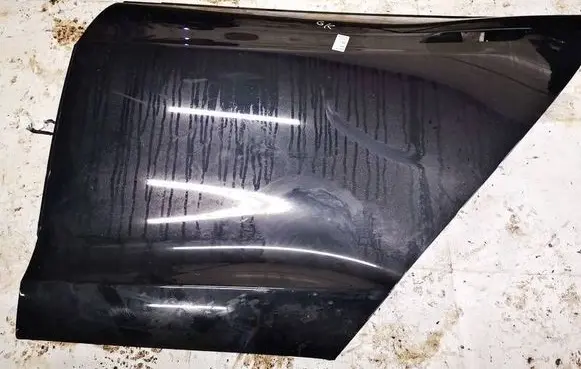 Tesla Model S Rear door 