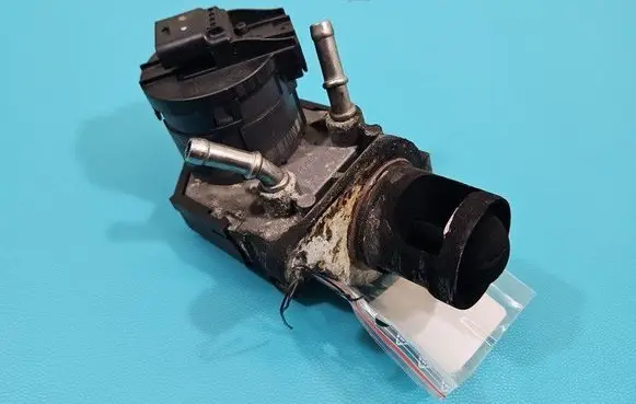 EGR valve