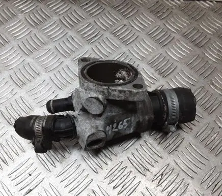 Thermostat/thermostat housing