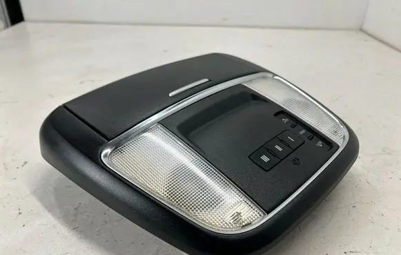 Dodge Charger Front seat light 5PL42DX9AC 637003290 2115256