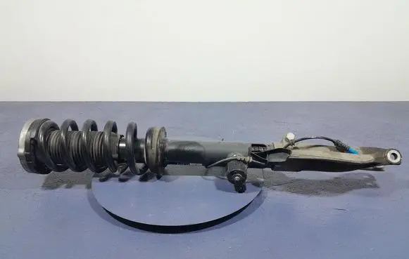 BMW X5 E53 Front shock absorber/damper 6896440
