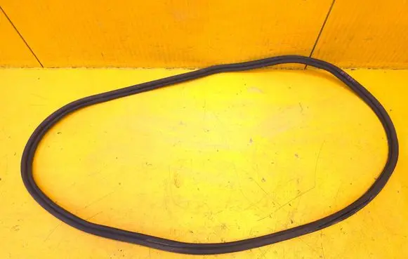 BMW 5 G60 G61 Front door rubber seal 5A05896