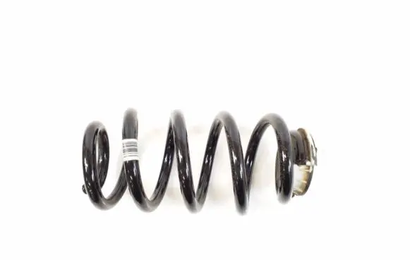 Mini Cooper Countryman F60 Rear coil spring 6880421