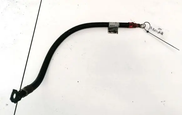 Peugeot Partner Positive cable (battery) 1744987