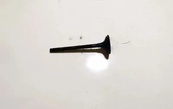 Renault Scenic I Valve 