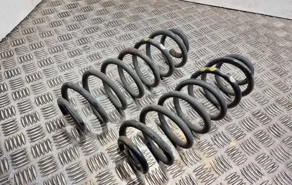 Rear coil spring