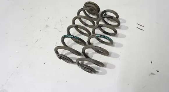 Rear coil spring