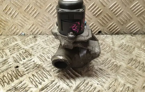 EGR valve