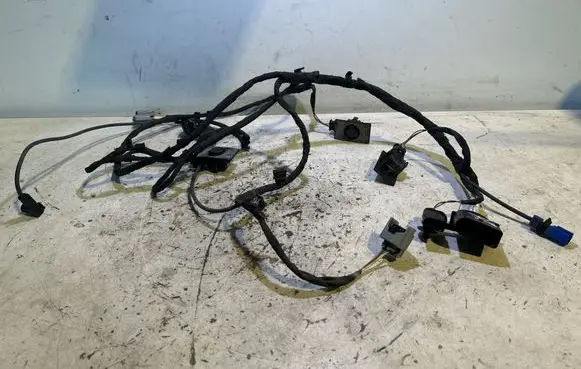 Volkswagen PASSAT B8 Parking sensor (PDC) wiring loom 3G0971095BR 6486T08 20871549