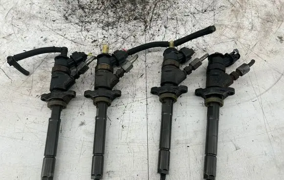 Citroen C3 Picasso Fuel injectors set 0445110311