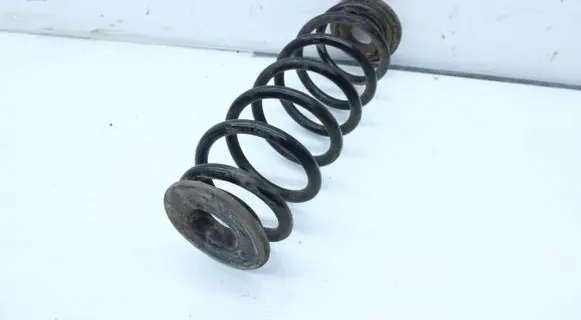 Volkswagen PASSAT B7 Rear coil spring
