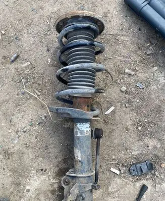 Opel Signum Front shock absorber/damper 824908554591 13118706