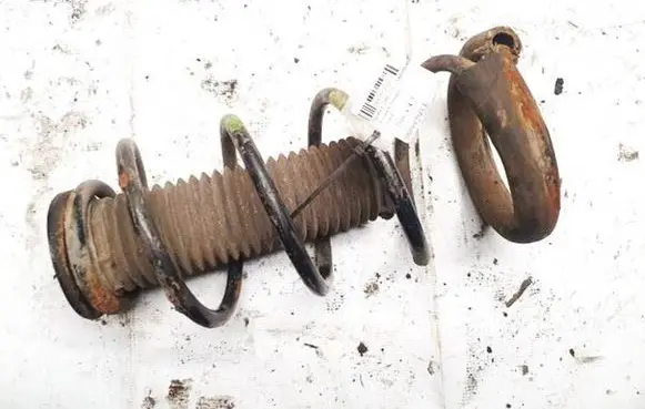 Front coil spring