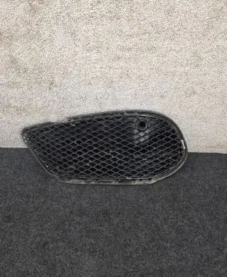 Front bumper lower grill