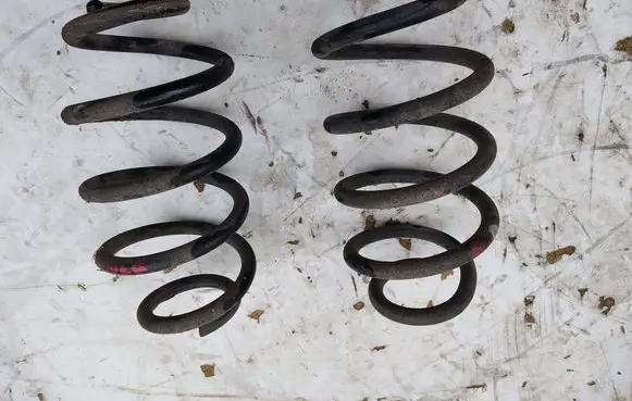 Nissan Juke I F15 Rear coil spring 
