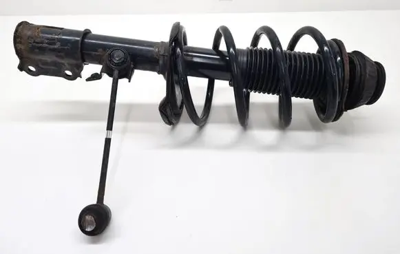 Hyundai i20 (PB PBT) Front shock absorber/damper 546504P000