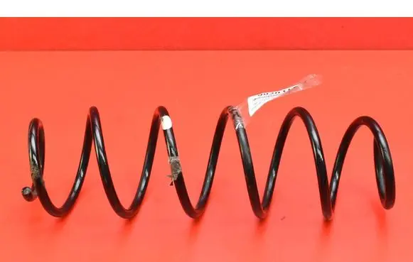 Rear coil spring