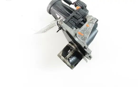 Renault Kangoo II EGR valve 8200129663