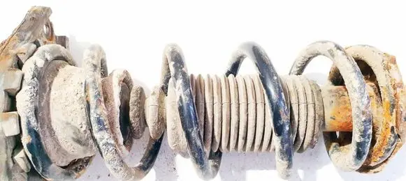 Rear coil spring