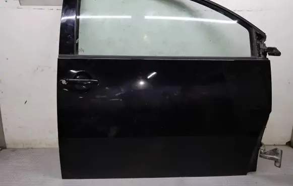 Volkswagen New Beetle Front door