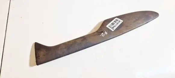 Other front door trim element