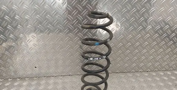 Rear coil spring