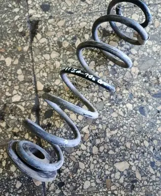 Rear coil spring
