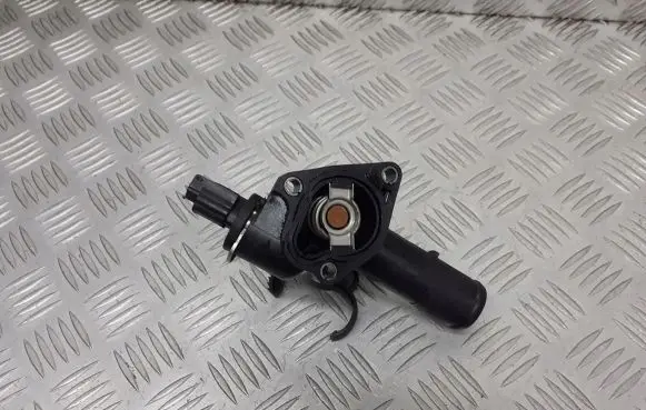 Renault Kangoo II Thermostat housing 