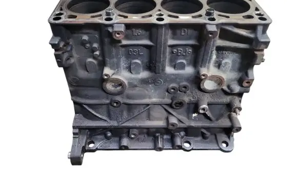 Skoda Octavia Mk2 (1Z) Engine block CAY