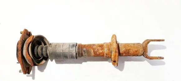 Subaru B9 Tribeca Rear shock absorber/damper