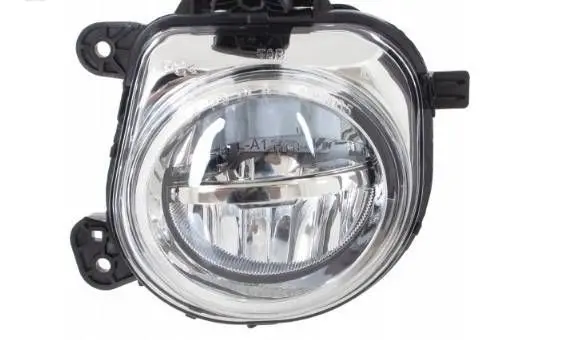BMW X3 F25 Front fog light 7317251