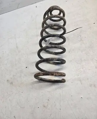 Rear coil spring