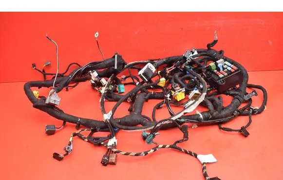 Other wiring loom