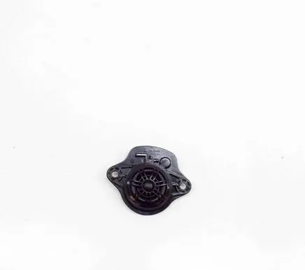 Tesla Model 3 Panel speaker 109873700B