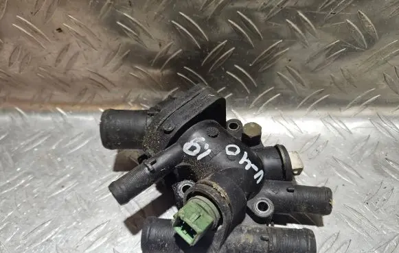 Thermostat/thermostat housing