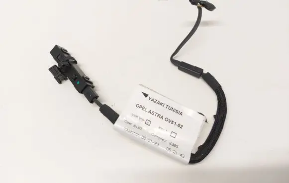 Other wiring loom