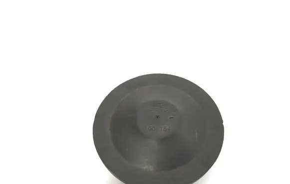 Skoda Superb B8 (3V) Headlight/headlamp dust cover 160184