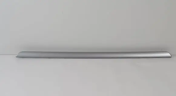 Volkswagen Golf V Front door trim bar 1K4867439